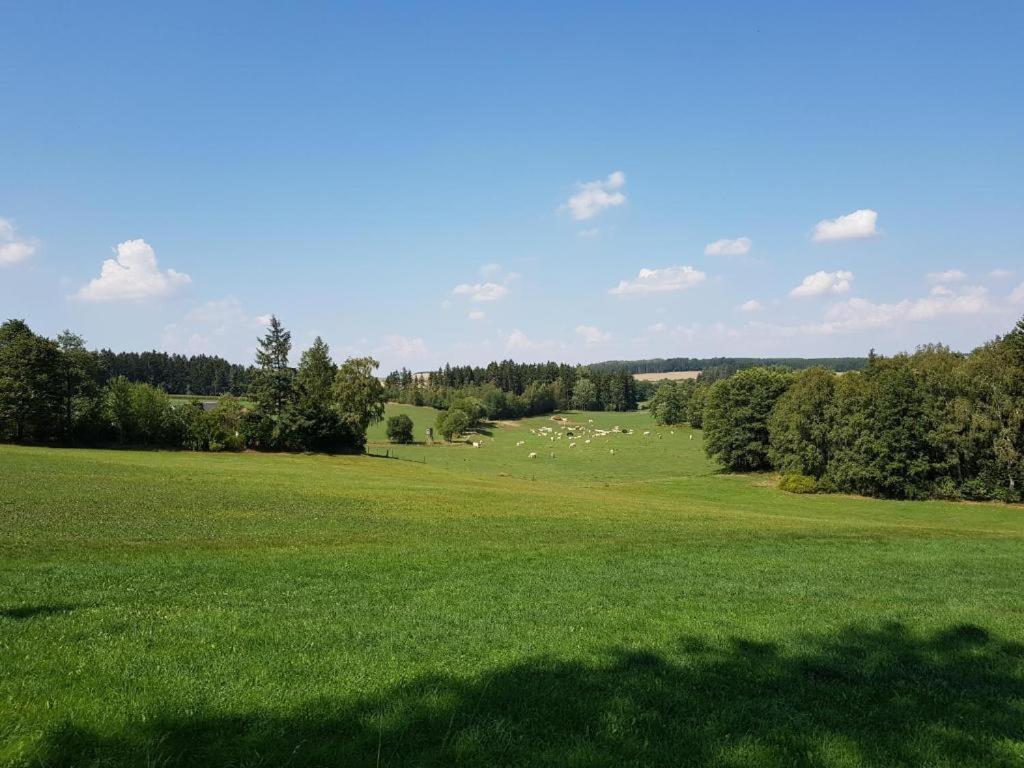 Landgasthof Grüner Baum Regnitzlosau Exterior foto